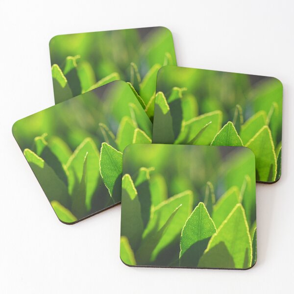 Item preview, Translucent Green Leaves | Landscape Photo designed and sold by PhotoStory.