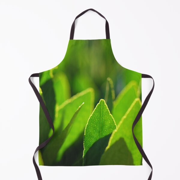 Item preview, Translucent Green Leaves | Landscape Photo designed and sold by PhotoStory.