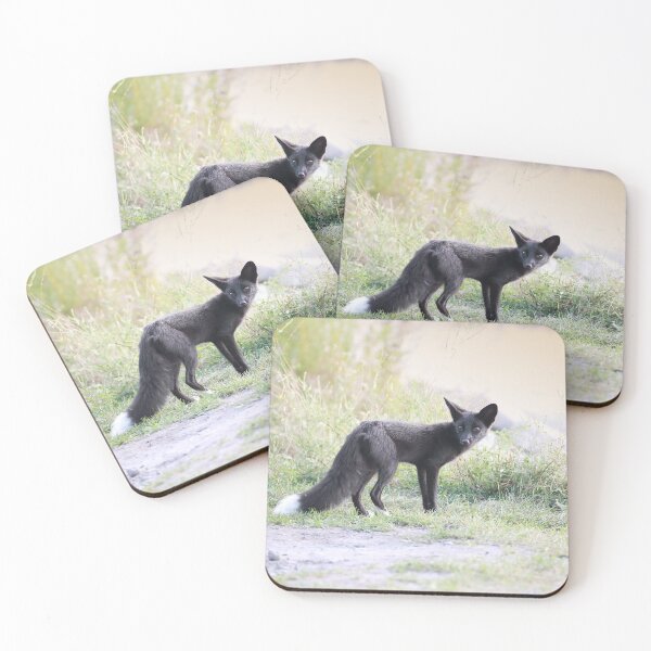 Item preview, Silver Fox designed and sold by mlorenz.