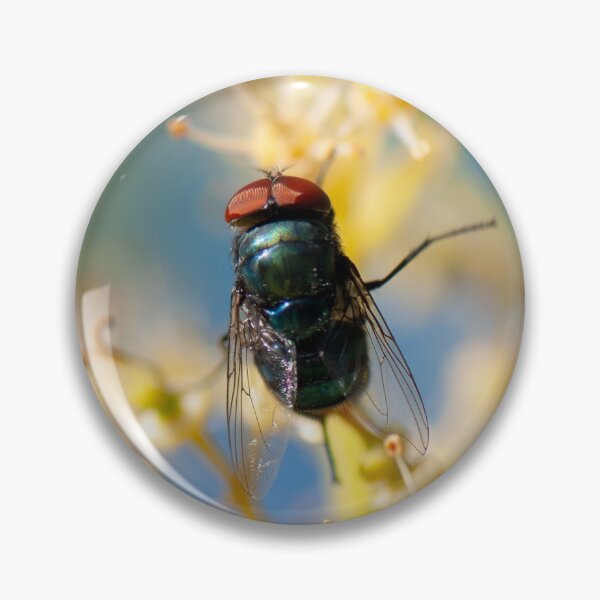 Item preview, A Fly Wants to be a Bee | Insect Photo designed and sold by PhotoStory.