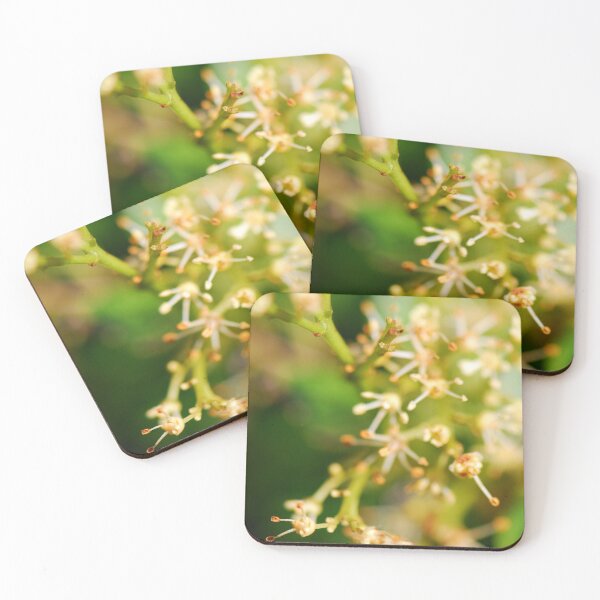 Item preview, Macro Plant Stem Pattern | Abstract Photo designed and sold by PhotoStory.
