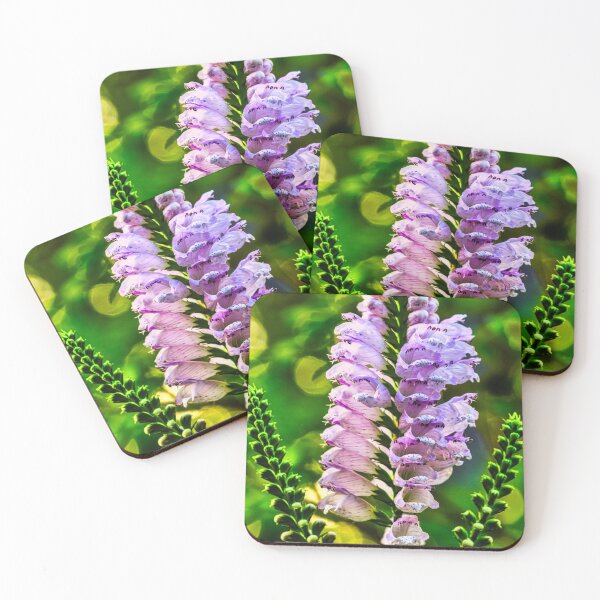 Item preview, Obedient Plant 1 designed and sold by Robert Alsop.