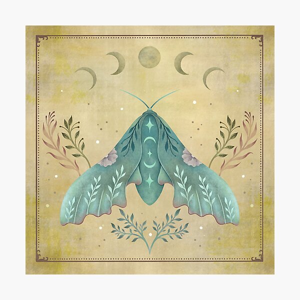 Item preview, Luna and Moth - Oriental Vintage designed and sold by episodicDrawing.