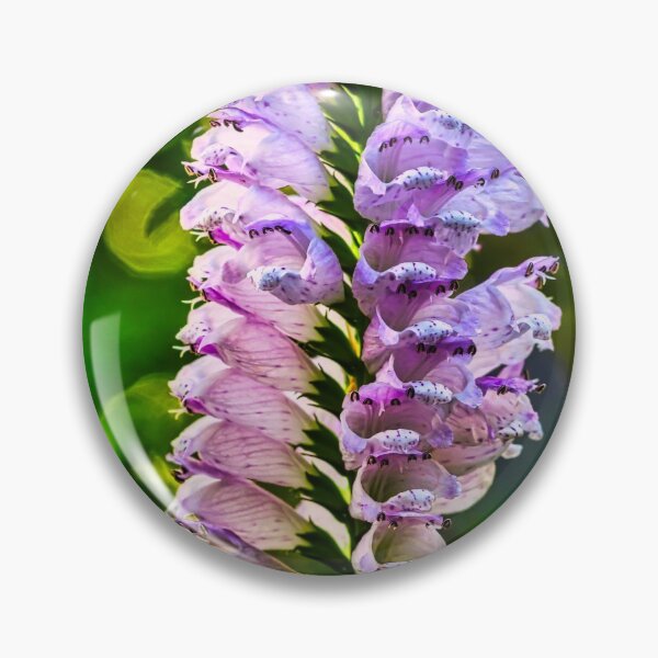 Item preview, Obedient Plant 1 designed and sold by Robert Alsop.