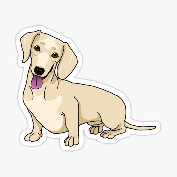 Dachshund, Short-Hair Cream Sticker