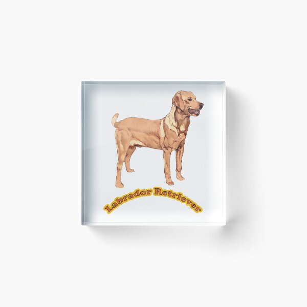 Item preview, Labrador Retriever designed and sold by joselsanguiv.