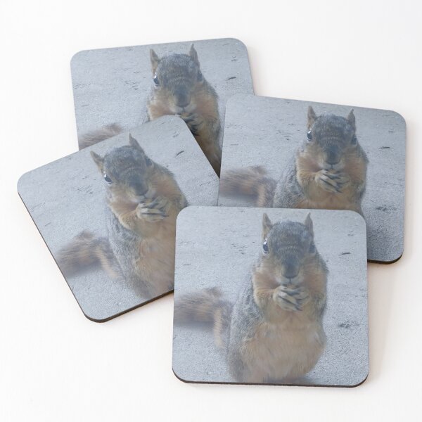 Item preview, Squirrel Pal designed and sold by NathanMoore92.