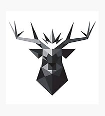 Baratheon Photographic Print