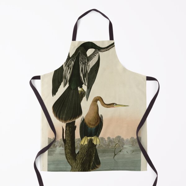 Item preview, 316 Black bellied Darter designed and sold by Bird-Lore.