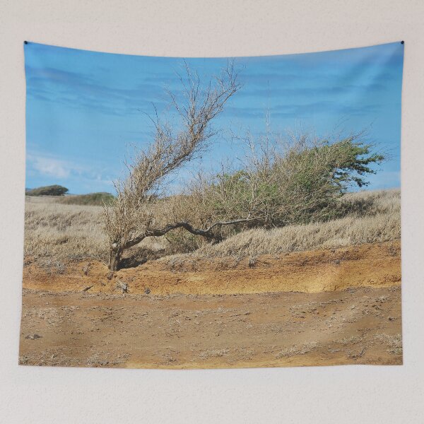 Item preview, Windswept tree on South Point Road in Hawaii designed and sold by TheMurphyGirl.