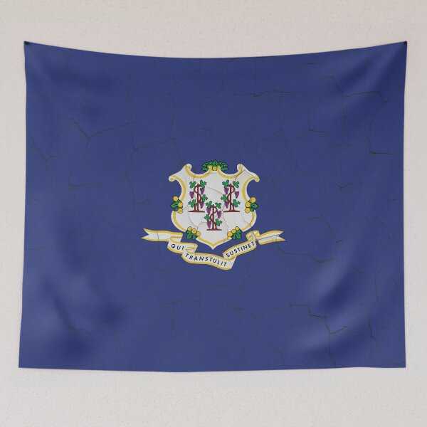 Item preview, Connecticut Flag Grunge Wall designed and sold by TRowanDesign.