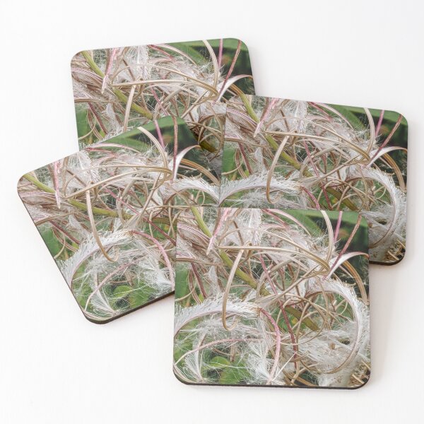 Item preview, Seed Pods designed and sold by Jennifer Church.