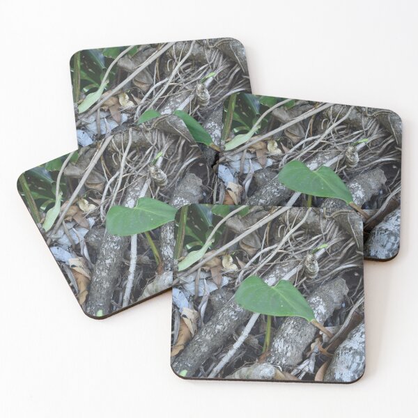 Item preview, Renewal designed and sold by ErinLP.