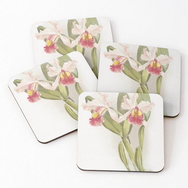 Item preview, Reichenbachia: Orchids Illustrated and Described designed and sold by EsotericBotanic.