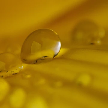 Artwork thumbnail, Yellow magic by Tadas Svetikas