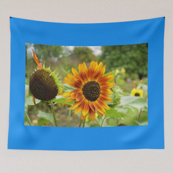 Item preview, Beauty And Age designed and sold by Alisonchambers2.