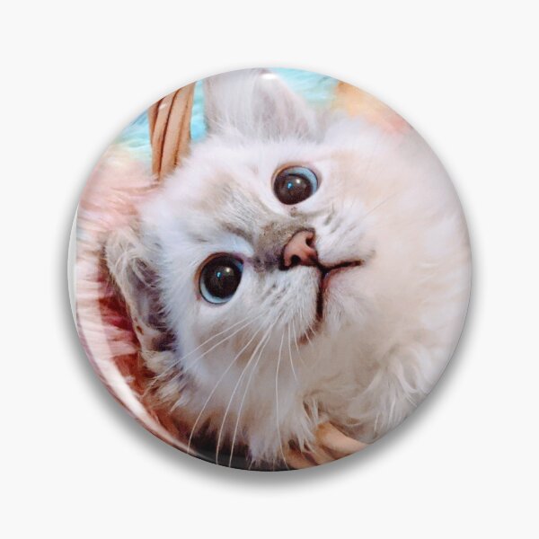 Item preview, Ragdoll kitten designed and sold by Fluffycat2020.