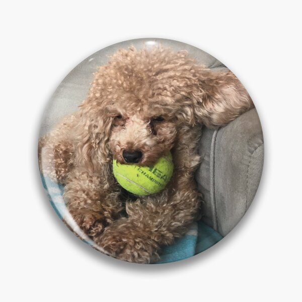 Item preview, Raffie Snoozing designed and sold by Roz McQuillan Fine Art & Photography.