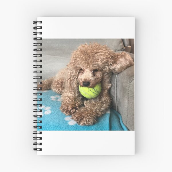 Item preview, Raffie Snoozing designed and sold by Roz McQuillan Fine Art & Photography.