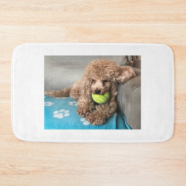 Item preview, Raffie Snoozing designed and sold by Roz McQuillan Fine Art & Photography.