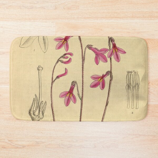 Item preview, Lobelia holstii 142 8648 designed and sold by EsotericBotanic.