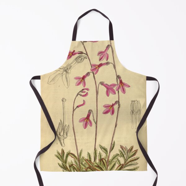 Item preview, Lobelia holstii 142 8648 designed and sold by EsotericBotanic.