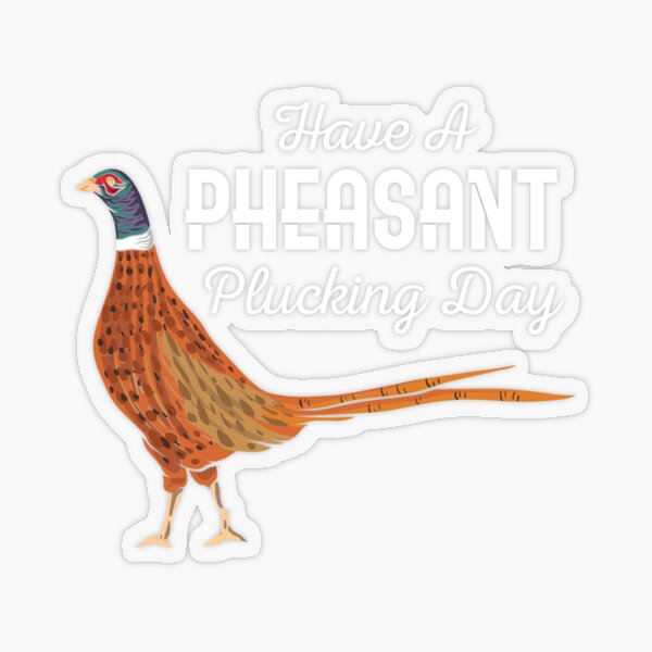 1906 Details about   Pheasant Hunting Decal Pheasant Hunting Sticker 
