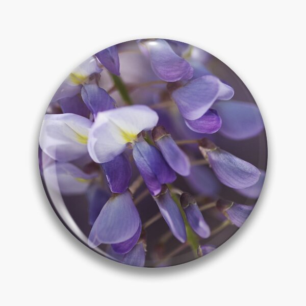 Item preview, Love With Purple Wisteria designed and sold by Joy Watson - Natural Light Photography .