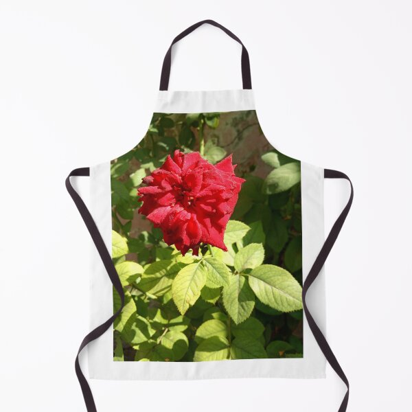 Item preview, A Red Rose image for trandy and new creation of logo designed and sold by jK fashion world.