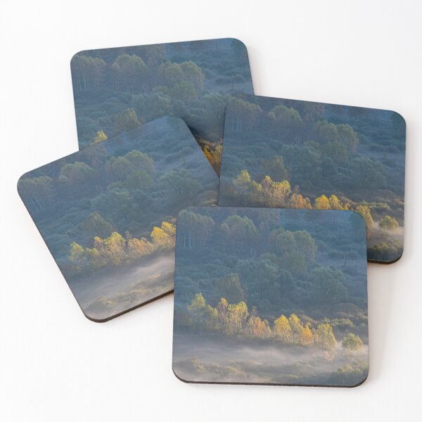 Item preview, Trees in the morning designed and sold by pietrofoto.