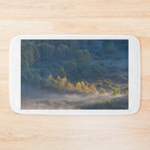 Item preview, Trees in the morning designed and sold by pietrofoto.