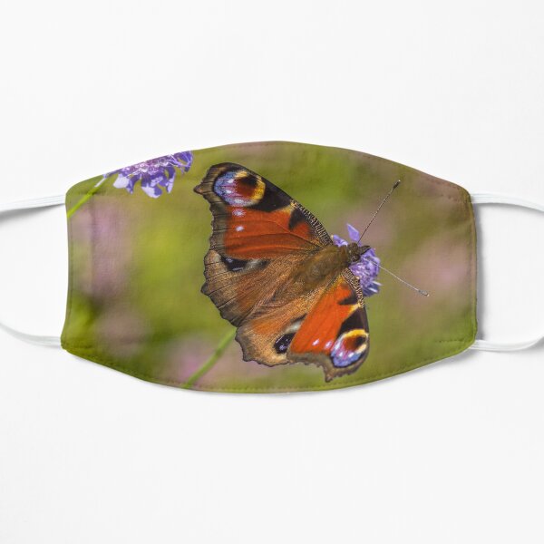 The European peacock has great fake eyes on the wings Flat Mask