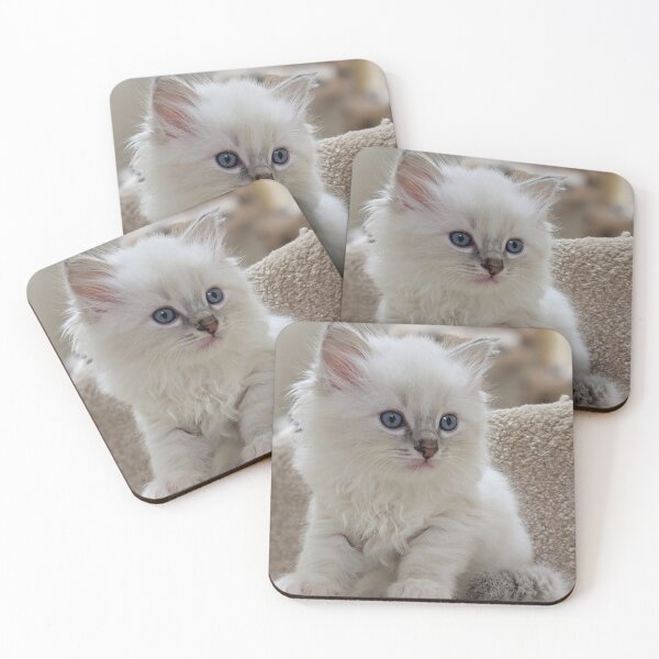 Item preview, Ragdoll kitten designed and sold by Fluffycat2020.