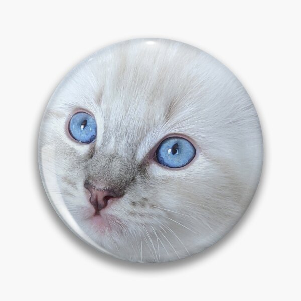 Item preview, Ragdoll kitten designed and sold by Fluffycat2020.