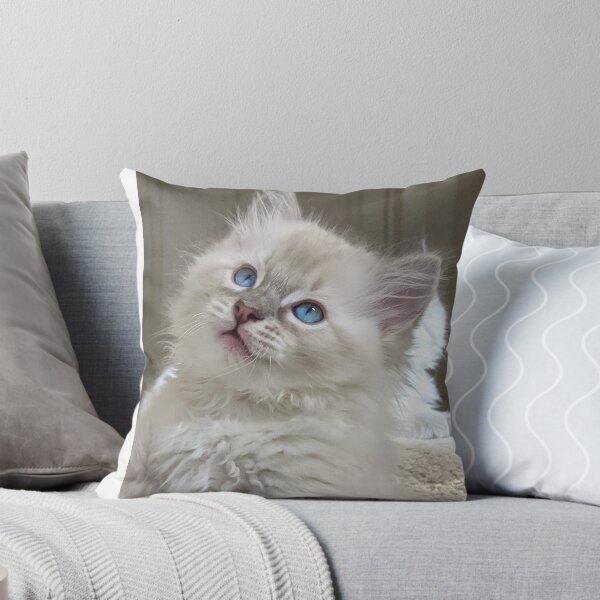 Item preview, Ragdoll kitten designed and sold by Fluffycat2020.