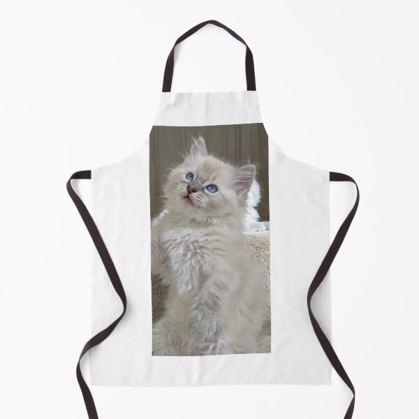 Artikelvorschau, Ragdoll Kätzchen entworfen und verkauft von Fluffycat2020.