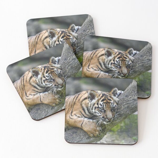 Item preview, Curious Sumatran Tiger Cub on the Log designed and sold by richardbryce.
