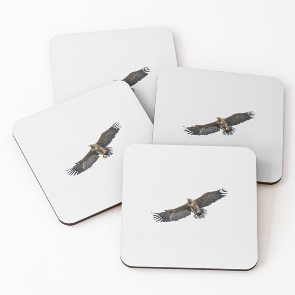 Item preview, a cute eagle for children designed and sold by TravelTemple.