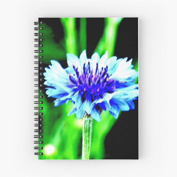 Item preview, Cornflower designed and sold by Geoff Treagus.
