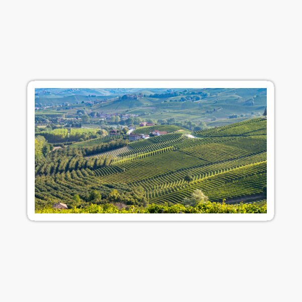 Item preview, Vineyards in Piemonte designed and sold by pietrofoto.
