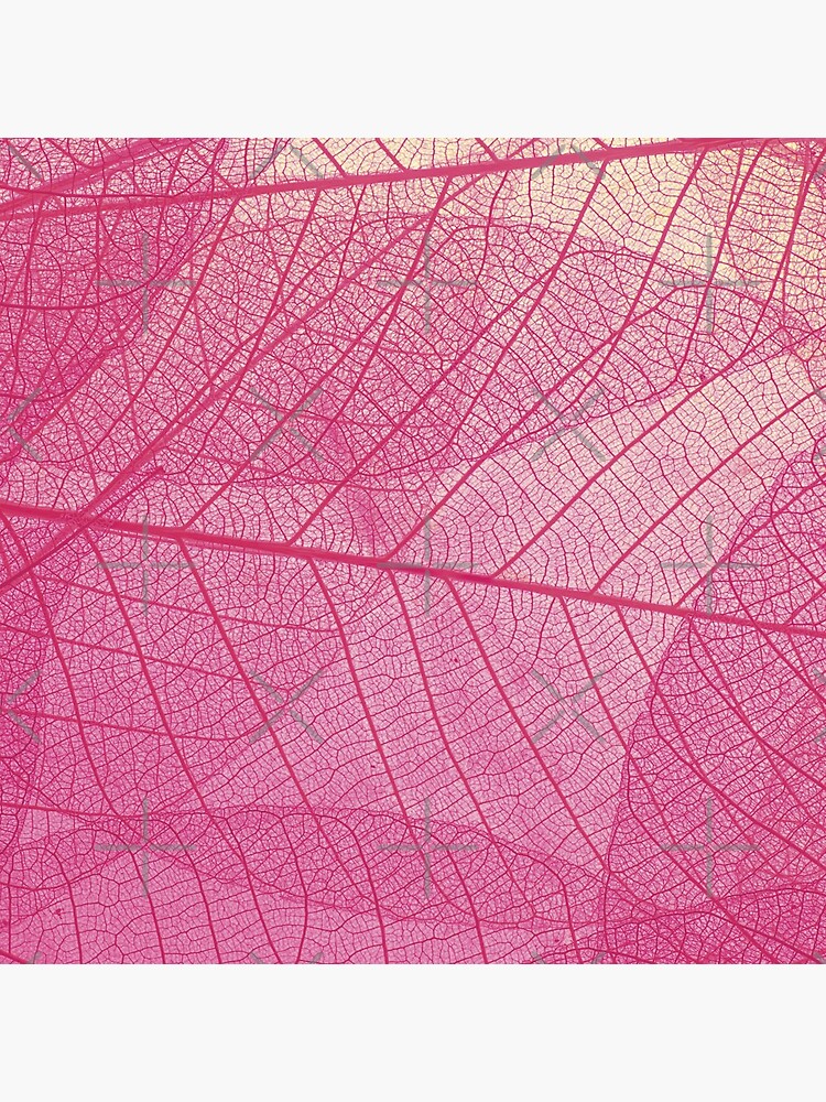 Pink leaves by ColorsHappiness