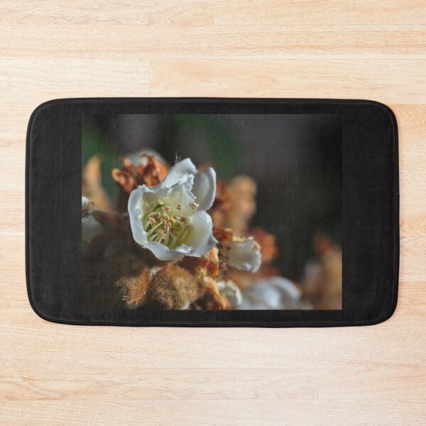 Item preview, Loquat Flower designed and sold by AngeloDeVal.