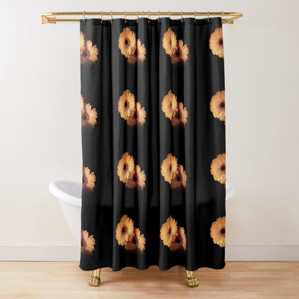 Two Gerberas Light And Shadow Shower Curtain