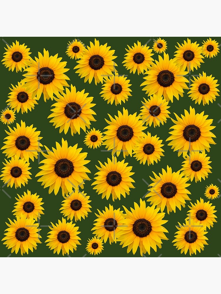 Lámina rígida «Patrón de flores de girasoles amarillo brillante sobre fondo  verde.» de KamTamDesigns11 | Redbubble