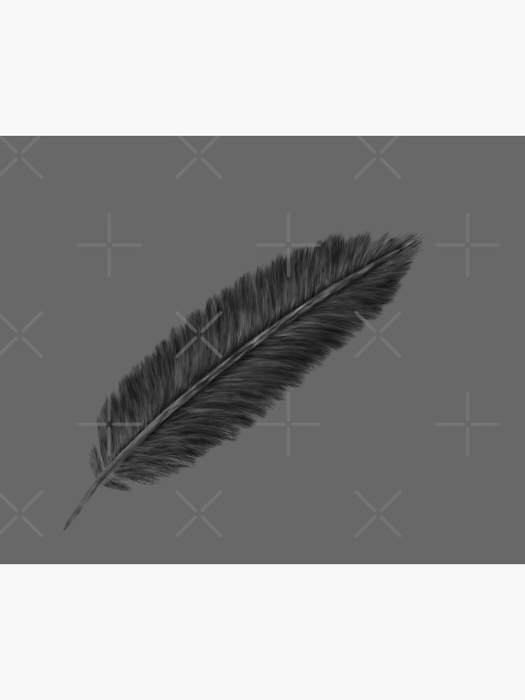 "Black and white feather" Poster for Sale by irmasarts Redbubble