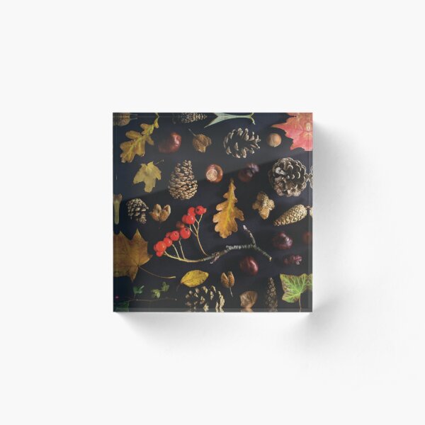 Autumn findings Acrylic Block