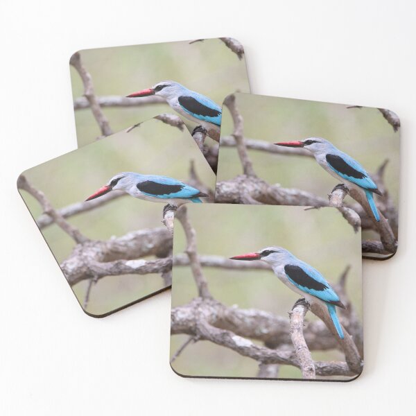 Item preview, Woodland Kingfisher designed and sold by Wouter van Spijker.