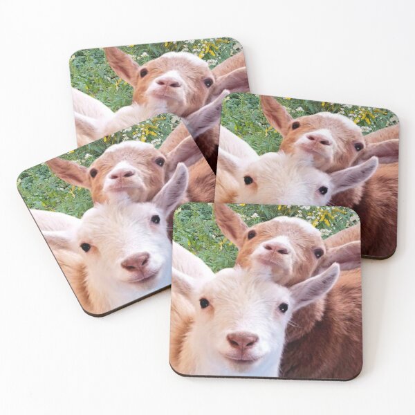 Goats! Coasters (Set of 4)