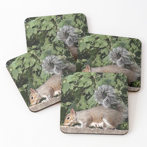 Item preview, Squirrel on wall eating and with a wonderfully curly tail designed and sold by Emma  Amies.
