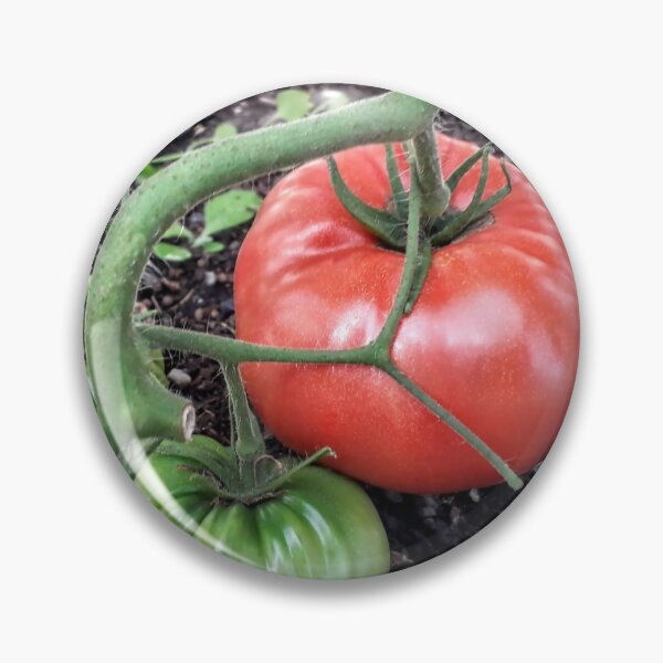 Item preview, Green and red tomatoes plants Kitchen garden Vegetables designed and sold by Tanja Dianova.